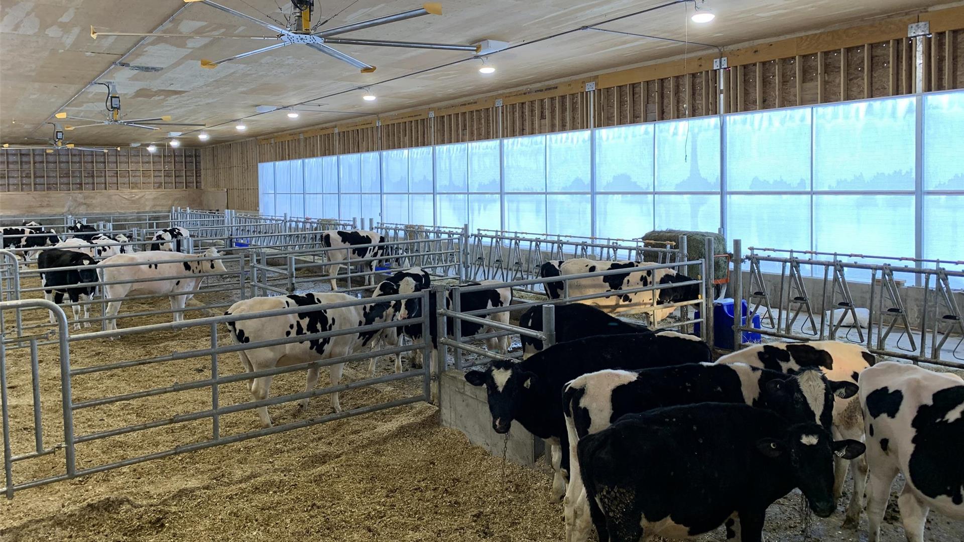 Réalisation - Ferme Laitmonde