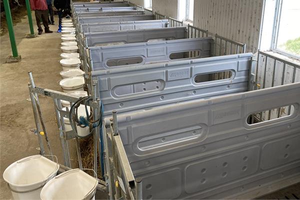 Case a veau horizontal